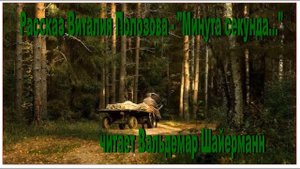 Рассказ Виталия Полозова - "Минута Секунда..." читает Вальдемар Шайерманн