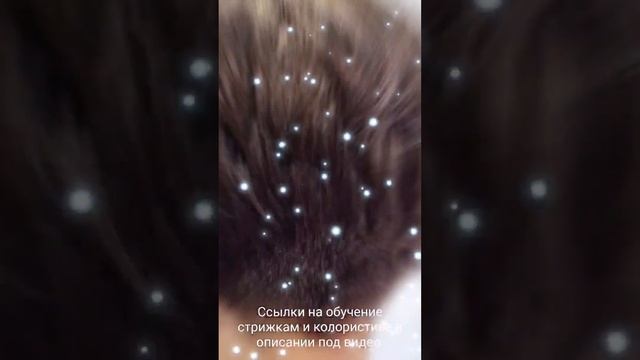 Обучение стрижкам #обучениестрижкам #обучениепарикмахеров #парикмахерснуля #женскиестрижкиобучение
