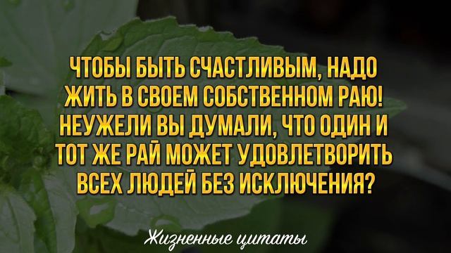Мотивационные Цитаты, Которые Сделают Вашу Жизнь Лучше #цитаты #жизненныецитаты #мудрость