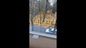 Плиссе жалюзи - принцип работы