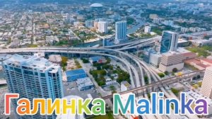 Лиса в Америке /Лиса ждёт реакции от Funny 4 /Дождется ли? /Funny 4 /Big Big Family /Жизнь в США