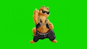 КОТ ТАНЦУЕТ НА ХРОМАКЕЕ ФУТАЖ