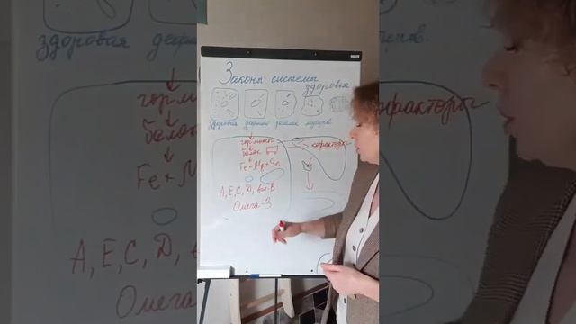 ЗАКОНЫ СИСТЕМЫ ЗДОРОВЬЯ 2 часть. ЗАПУСКАЕМ 4 ЗВЕНА#siberianwellness #здороваяпечень#здоровыйкишечни