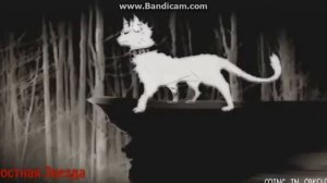 Коты - Воители Бич и Костяк - No murderer i kiss ( Заказ )