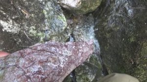 Ручей мраморный