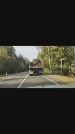 Лучше на пикничок, чем плестись за таким...