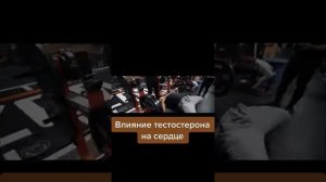 Тестостерон энантат эффект🆘
