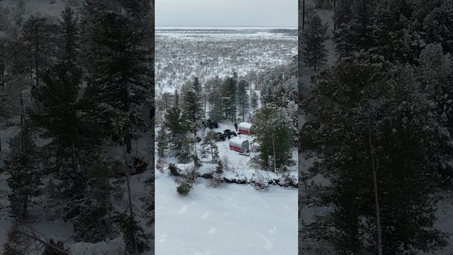 Погода в Сибири: от зимних морозов до летней жары