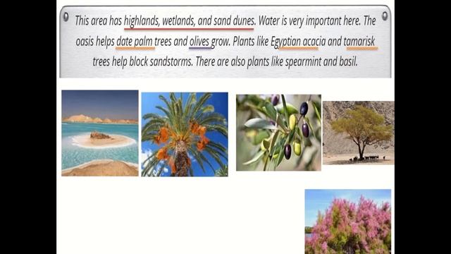 lesson 2/ p. 136 137-Rashad and Zeina visit the museum смотреть онлайн