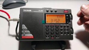 TECSUN PL-330. ПИОНЕРКА И ТРОЕЧКА