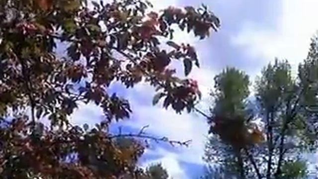 Хельсинки - Стокгольм 2012