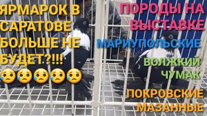 😥🔥😥 Ярмарка в Саратове больше не будет?! 🔥🔥🔥 Необычные породы голубей на выставке.