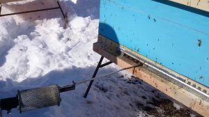 Весенняя обработка пасеки "бипином"