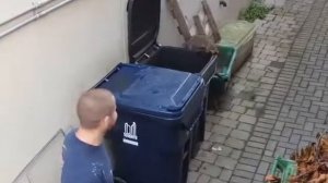 Канада. Енот малыш провёл всю ночь в мусорке.