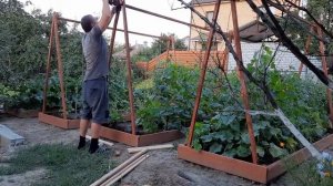 Делаем шпалеры для огурцов на новых грядках, чтобы на участке было не только красиво но и практично.
