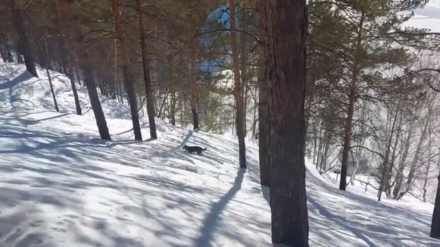 Штурм уральских гор! (Волосатый спецназ) смотреть онлайн