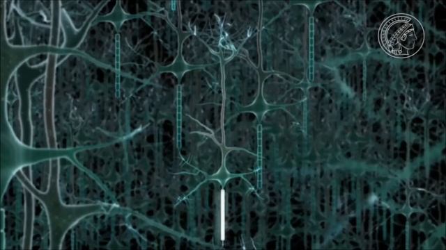 Шизофрения // Причины шизофрении // Психиатрия //