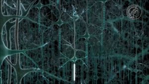 Шизофрения // Причины шизофрении // Психиатрия //