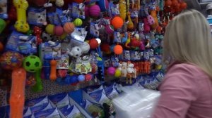 Покупки в ЗООМАГАЗИНЕ для енота Лимона