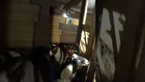 Помещение для коз, нюансы при организации быта коз