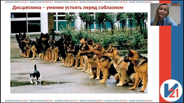 Дисциплина. Копытина Лилия смотреть онлайн