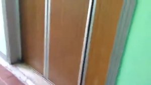 Электрические лифты (КМЗ-1985 перед заменой) г. Москва. Миклухо-Маклая, 30, п-2 (13.09.2016)