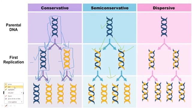 DNA Replication in Prokaryotes (Initiation) For UG PG Students (Biology) and also for Engineers