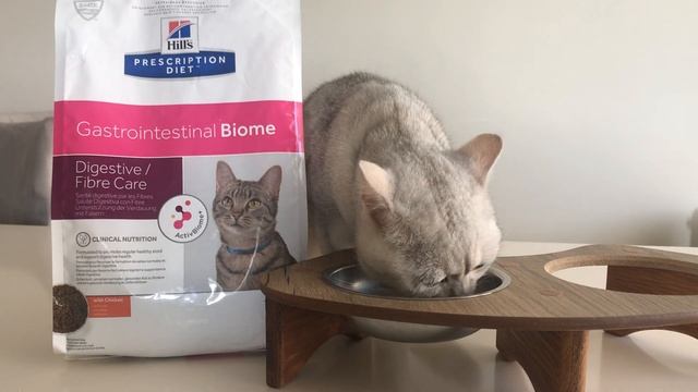 Hill's ile Tarçın'ın İyileşme Hikayesi смотреть онлайн