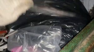 Находки на мусорках Санкт-Петербурга