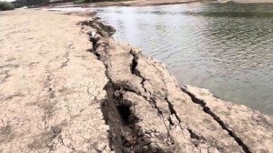 Река Кубань столько мертвой рыбы Краснодар