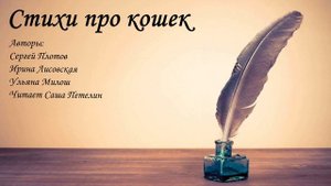 Стихи про кошек