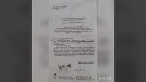 Структура книги.