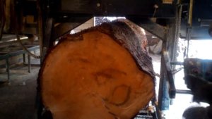 Пилорама "мастер 2000-05"