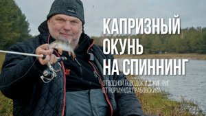 Нормунд Грабовскис: Окунь на отводной поводок и джиг-риг — тактика ловли поздней осенью