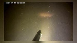 ПОДВОДНАЯ ОХОТА НА СОМА