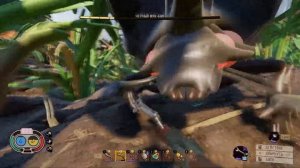 Молот из жука быка Прохождение Grounded#43