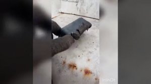 замена сайлентблоков рессоры газ 3309