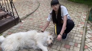 Диана Анкудинова :"Собака бывает кусачей,только от жизни собачей... "