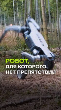 Робот, который делает сальто. Четвероногий Lynx справится с любыми трудностями