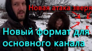 Буду писать сценарий! Норка снова охотится на наших птиц.