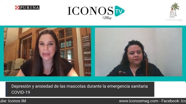 DEPRESION Y ANSIEDAD EN MASCOTAS смотреть онлайн