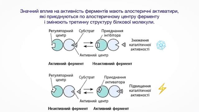 АКТИВАТОРИ ТА ІНГІБІТОРИ ФЕРМЕНТІВ (аудіокнига)