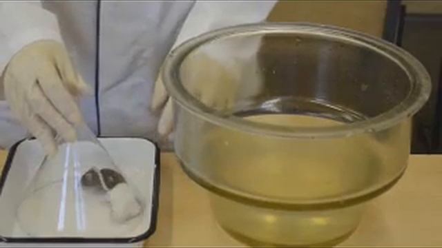 Untitledацф1 смотреть онлайн