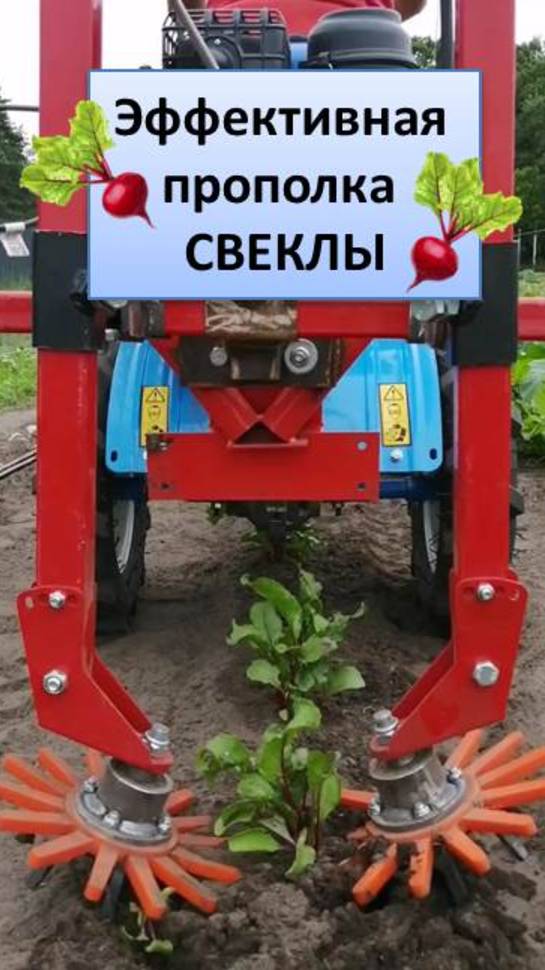 Эффективная прополка свеклы пальчиковым прополочным механизмом. Рыхление почвы, удаление сорняка.