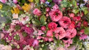 Женщины-это абсолютные создания