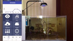 Морской аквариум дома. Новый светильник Chihiros Nova. Надо ли делать тесты воды?