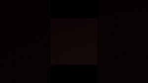 1000008126.mp4