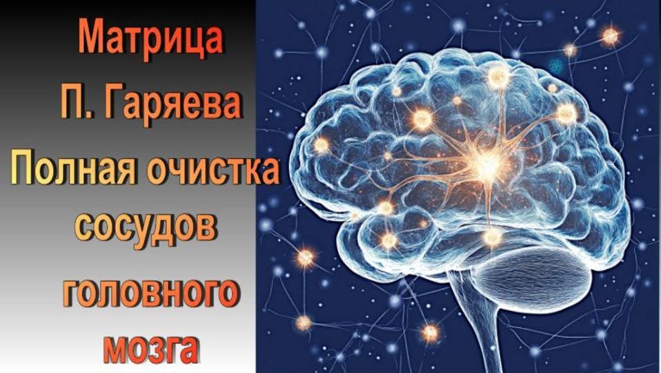 Матрица 2 1 гаряев. Матрица 2 1 гаряев