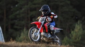 ДЕТИ первые шаги