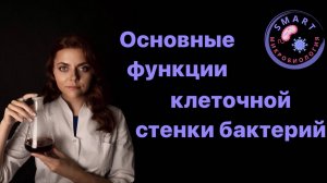 Основные функции клеточной стенки бактерий.